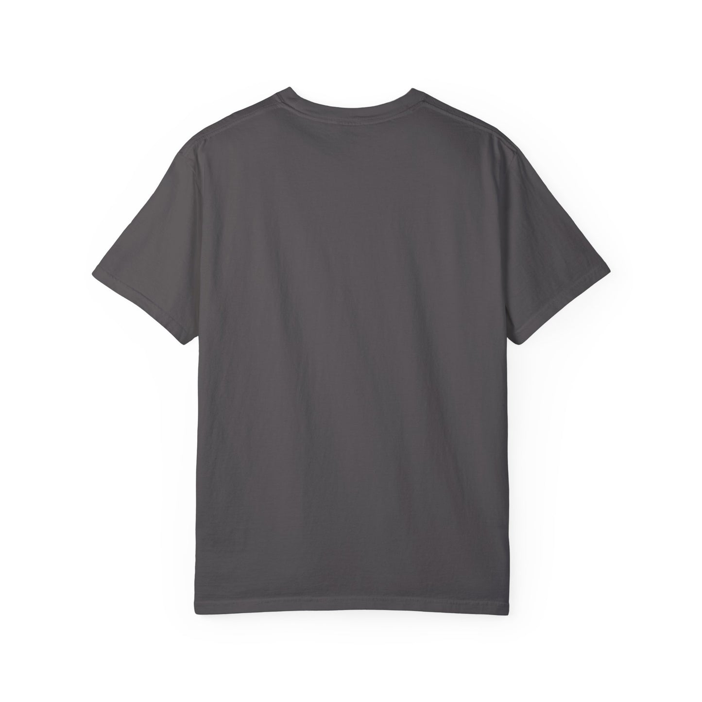 Stylish Unisex Garment-Dyed T-Shirt with Feather Design