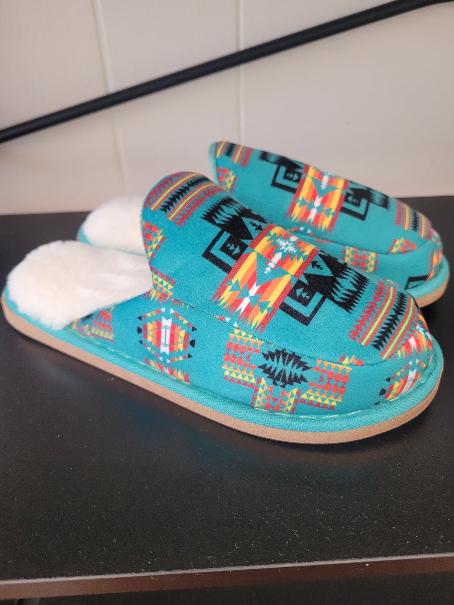 House Slipper