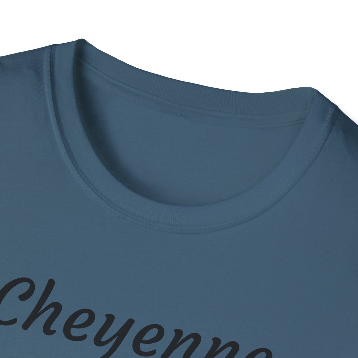 Cheyenne Dreamcatcher Unisex Softstyle T-Shirt - Bohemian Spirit Wear