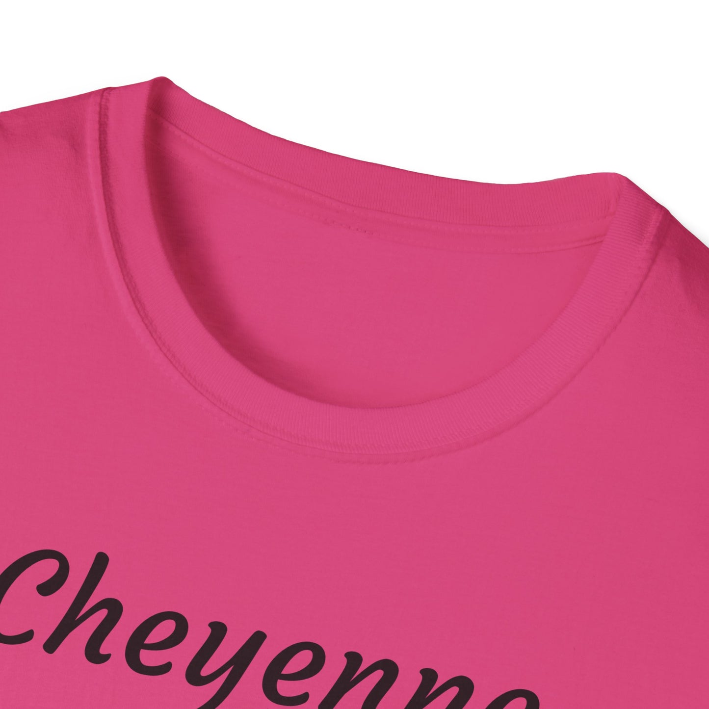 Cheyenne Dreamcatcher Unisex Softstyle T-Shirt - Bohemian Spirit Wear