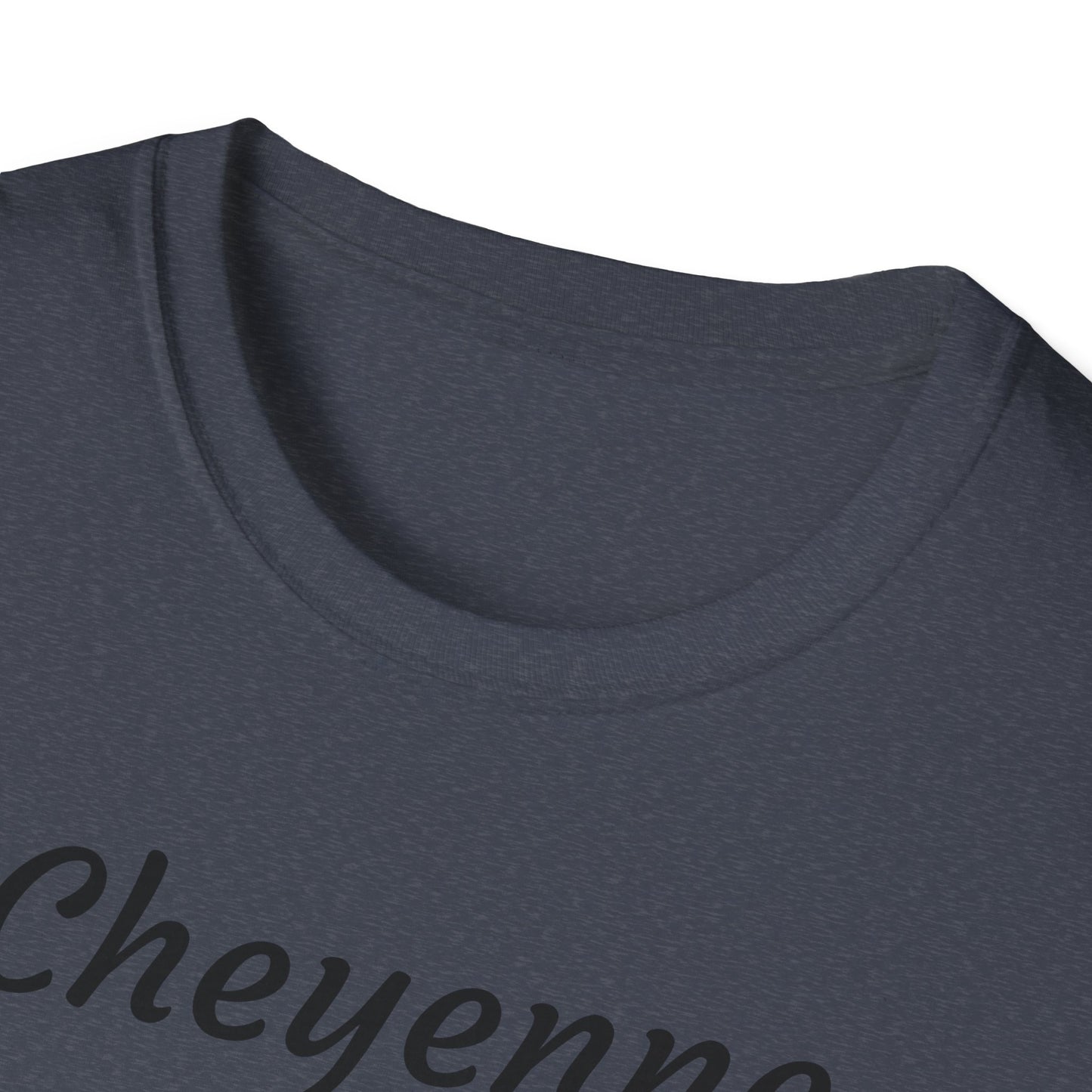 Cheyenne Dreamcatcher Unisex Softstyle T-Shirt - Bohemian Spirit Wear