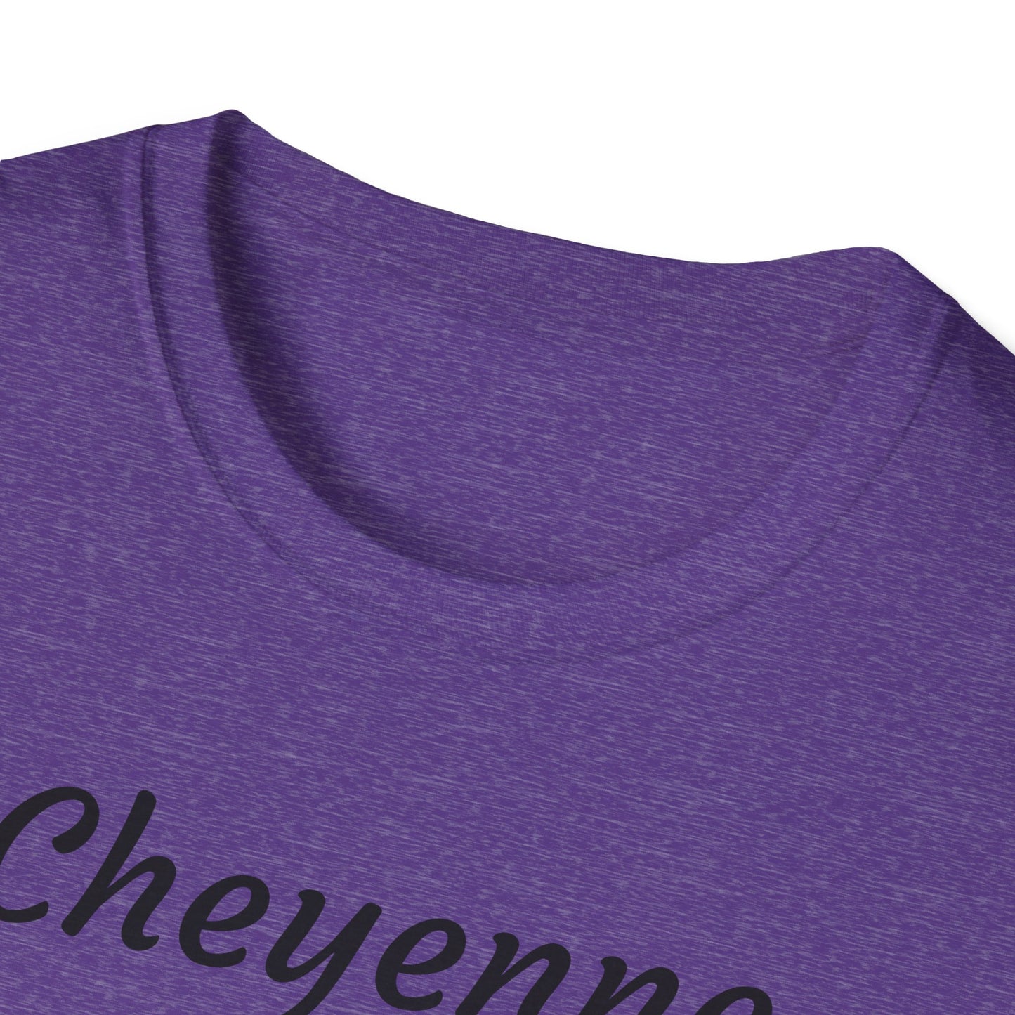 Cheyenne Dreamcatcher Unisex Softstyle T-Shirt - Bohemian Spirit Wear