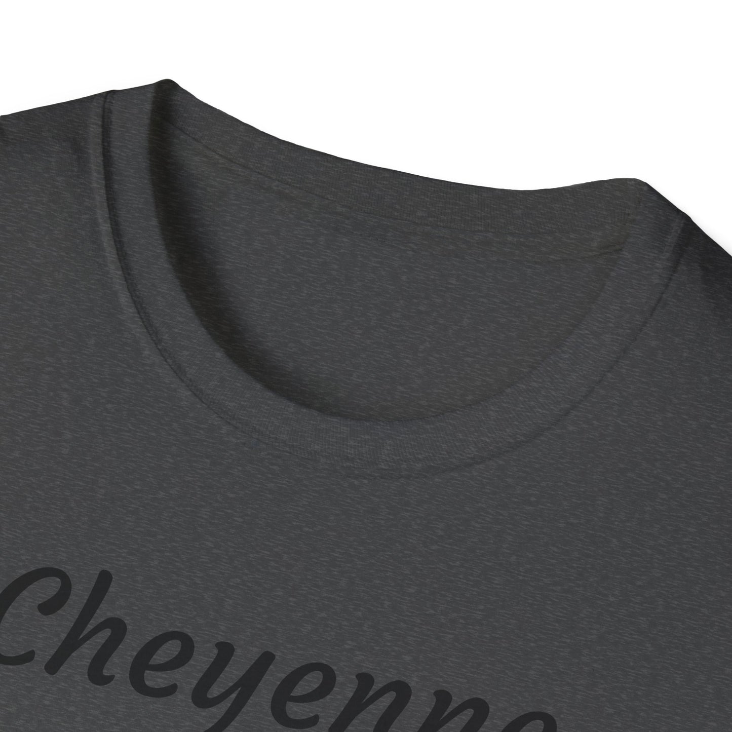 Cheyenne Dreamcatcher Unisex Softstyle T-Shirt - Bohemian Spirit Wear