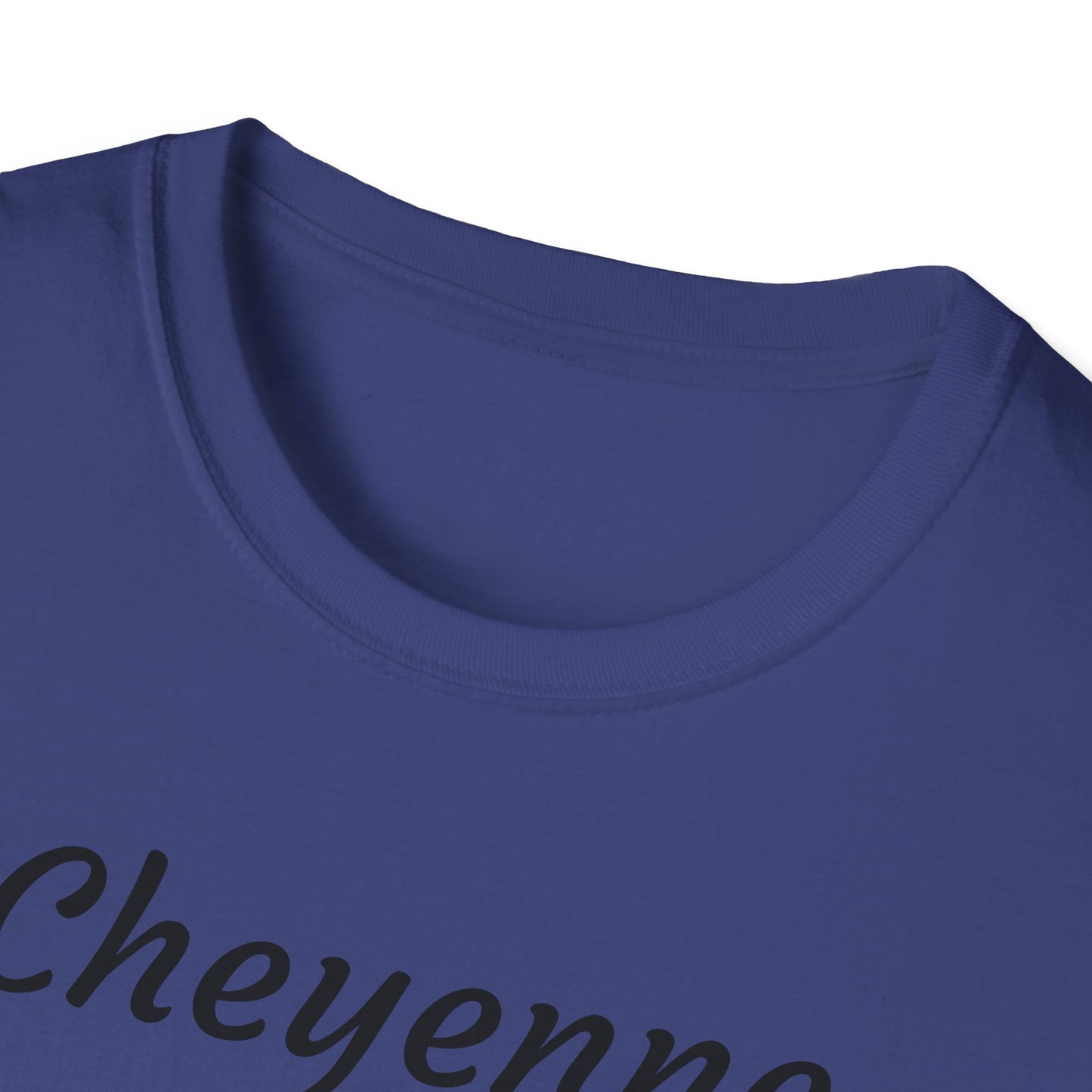 Cheyenne Dreamcatcher Unisex Softstyle T-Shirt - Bohemian Spirit Wear