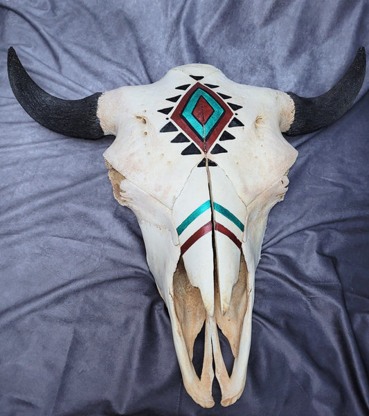 Hand Painted Buffalo Skull