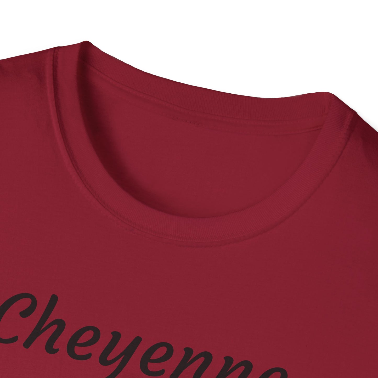 Cheyenne Dreamcatcher Unisex Softstyle T-Shirt - Bohemian Spirit Wear