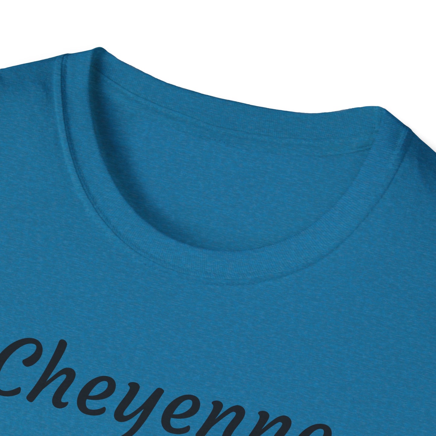 Cheyenne Dreamcatcher Unisex Softstyle T-Shirt - Bohemian Spirit Wear