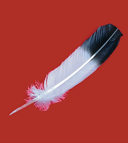 Imitation Eagle Feathers