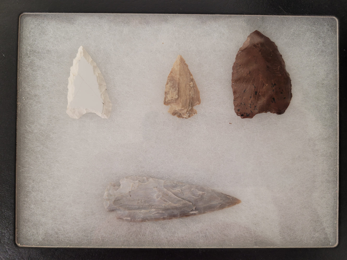Arrowheads in Display Case