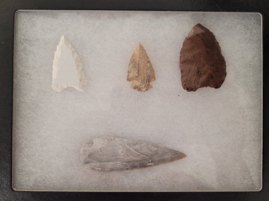 Arrowheads in Display Case