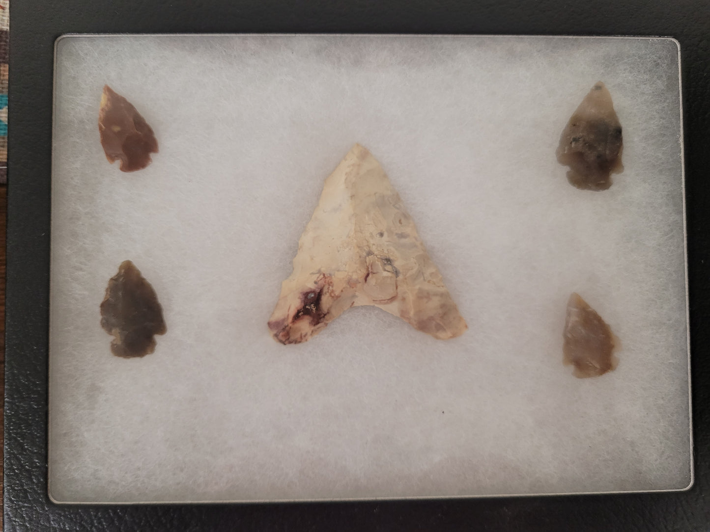 Arrowheads in Display Case