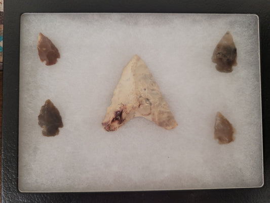 Arrowheads in Display Case